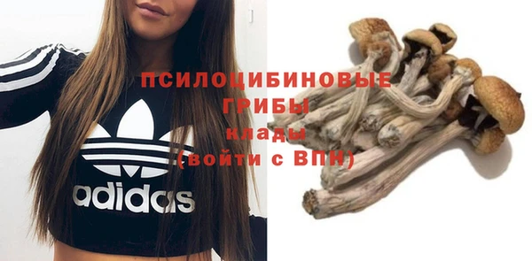 стаф Верхний Тагил