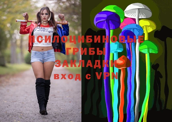 стаф Верхний Тагил
